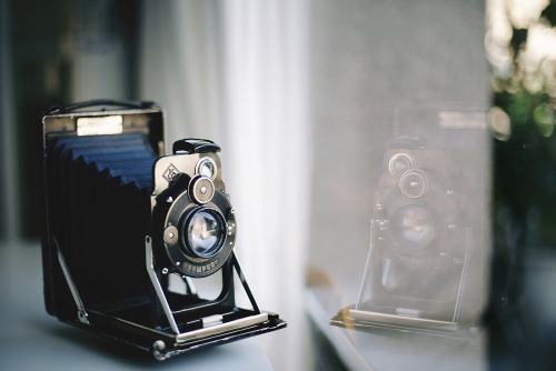 100년된 9x12 대형 포맷 카메라 KW Ica Dresden